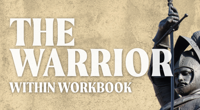The warrior within shadow workbook