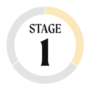 stage 1