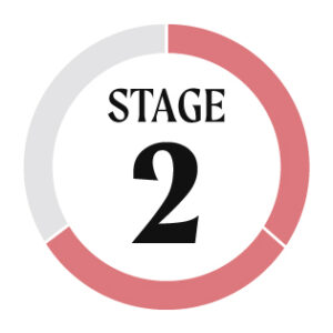Stage 2 icon