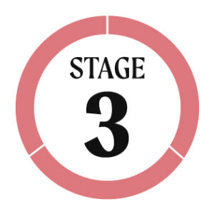 stage 3 icon